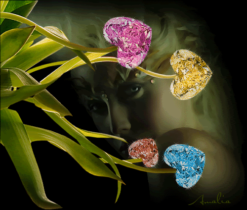 20080416161223835?t1245186809