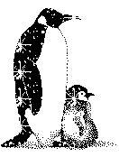 Animal Glitter Graphics