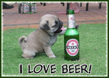 Beer Glitter Graphics