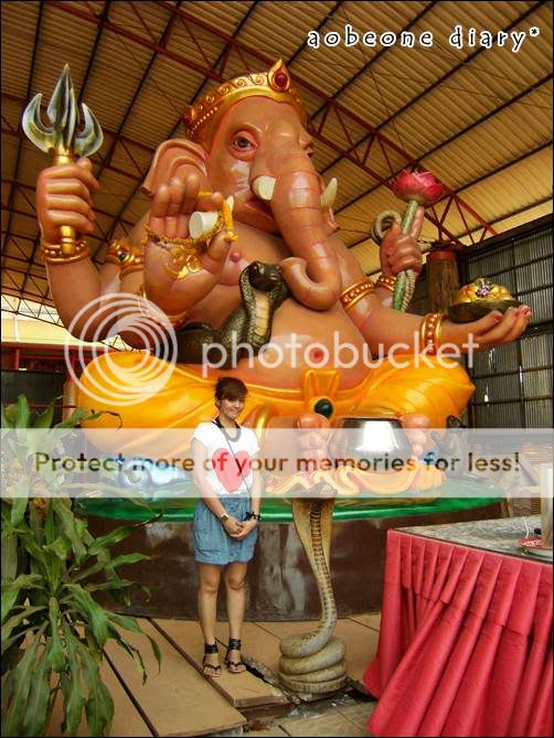 เมื่อตรุษจีนที่ผ่านมา