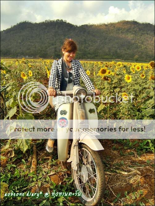 One day trip เที่ยวทุ่งทานตะวัน ยันไปถึง วิหารหลวงปู่ ต ที่ คราช