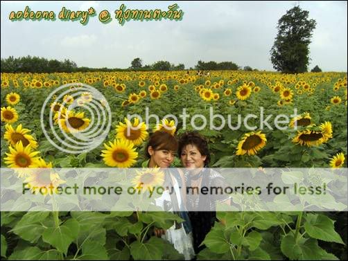 One day trip เที่ยวทุ่งทานตะวัน ยันไปถึง วิหารหลวงปู่ ต ที่ คราช