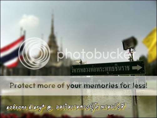 One day trip เที่ยวทุ่งทานตะวัน ยันไปถึง วิหารหลวงปู่ ต ที่ คราช