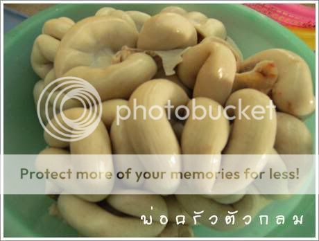 ไส้ตัน มันคือ อะไร