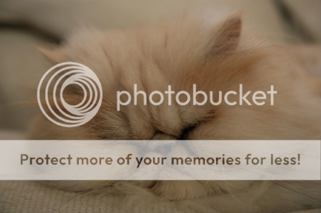 IMAGE: http://i338.photobucket.com/albums/n417/poldodog/007.jpg