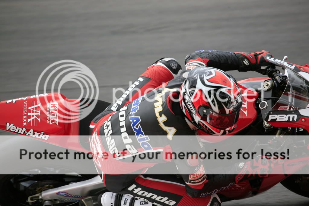 IMAGE: http://i338.photobucket.com/albums/n417/poldodog/_MG_5773.jpg