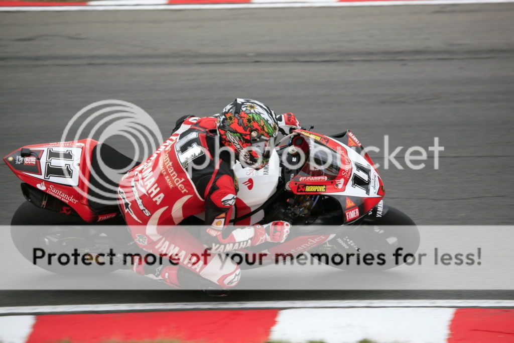 IMAGE: http://i338.photobucket.com/albums/n417/poldodog/_MG_5866.jpg