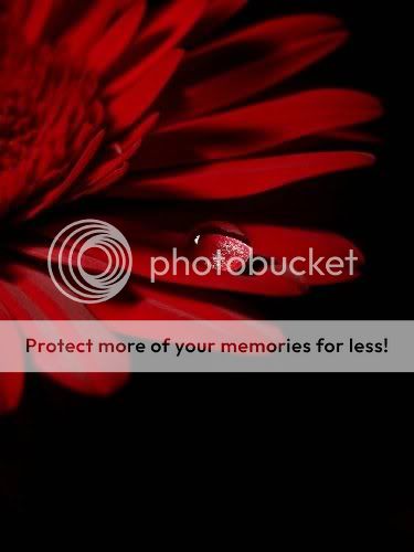 2c0d9f0194d75634a122b0708d71dc83_we.jpg picture by dulce7177_album